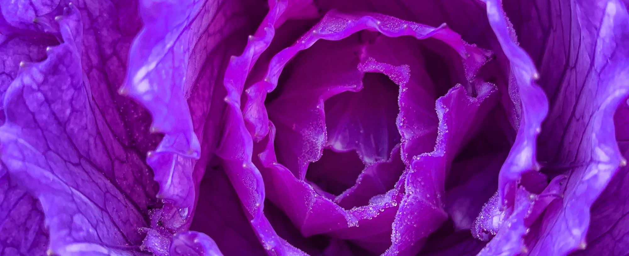 14 Quotes About Overcoming Depression